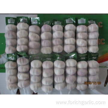 Best Quality Normal White Garlic